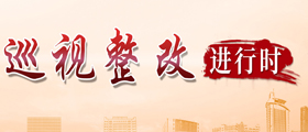 巡视整改专栏
