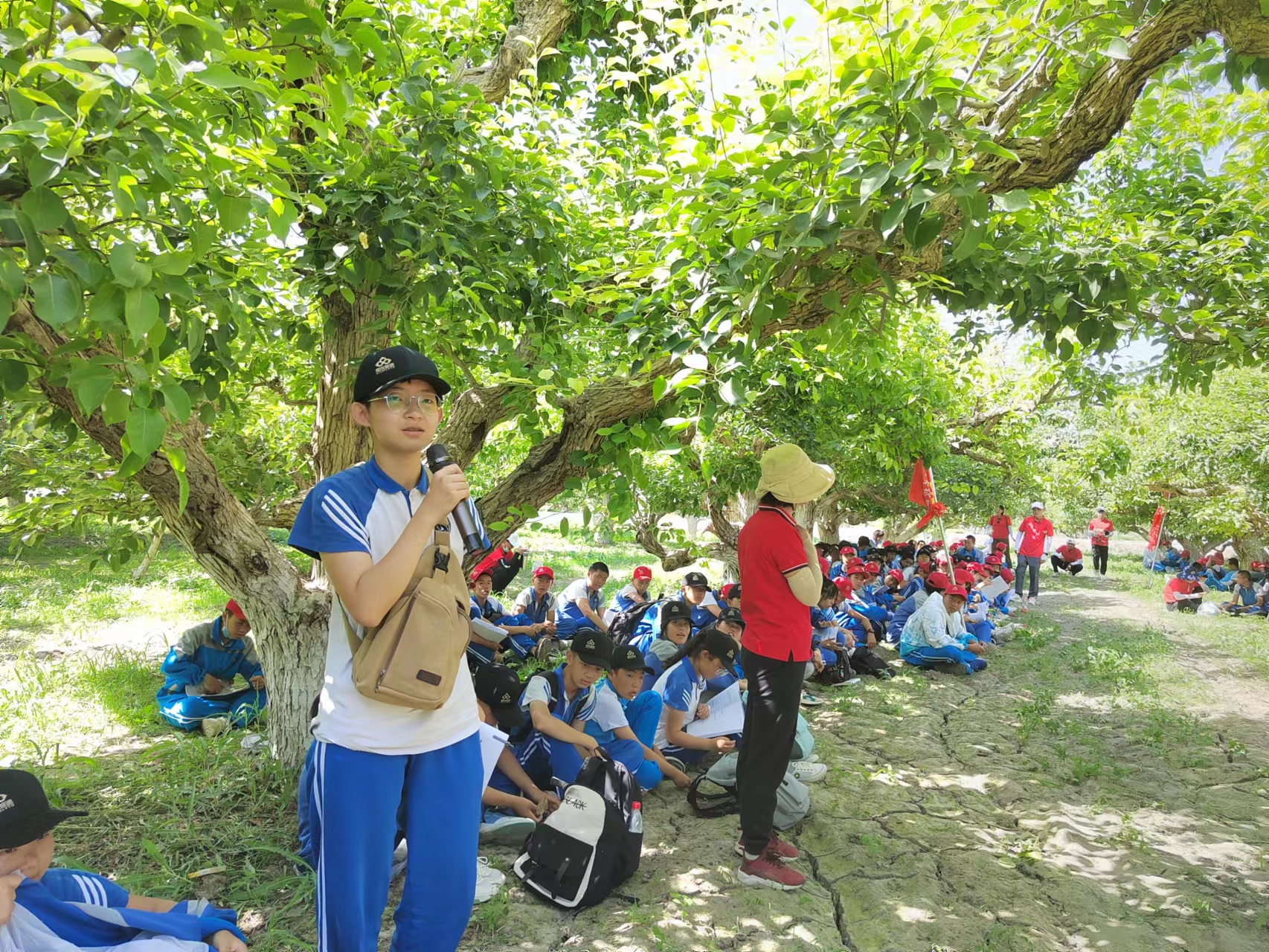 图片5.jpg