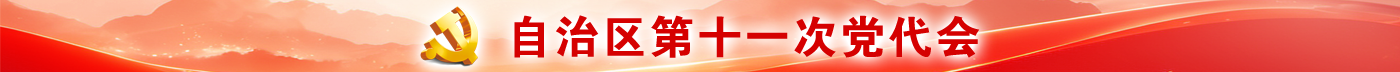 自治区第十一次党代会